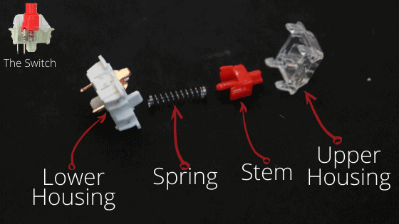 Infographic explaining all the parts of a mechanical keyboard switch