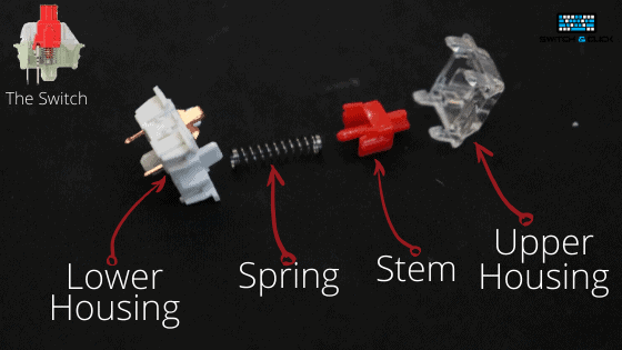 diagram showing parts of a mechanical keyboard switch