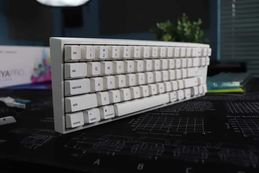 Ducky MIYA Pro with a standard bottom row and 65% layout