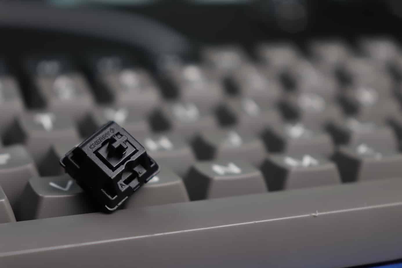 The 5 Best Cherry MX Switches Explained Switch And Click