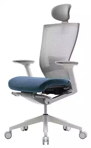 SIDIZ T50 Ergonomic Office Chair